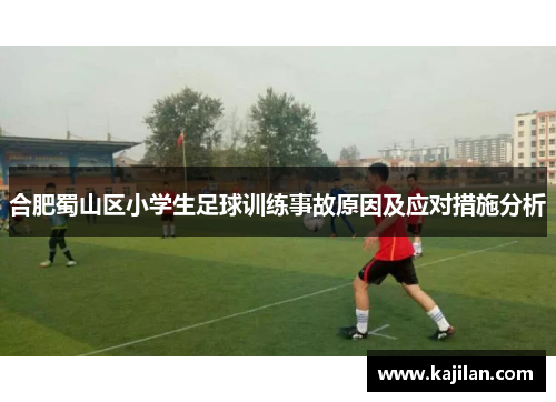 合肥蜀山区小学生足球训练事故原因及应对措施分析