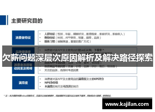 欠薪问题深层次原因解析及解决路径探索