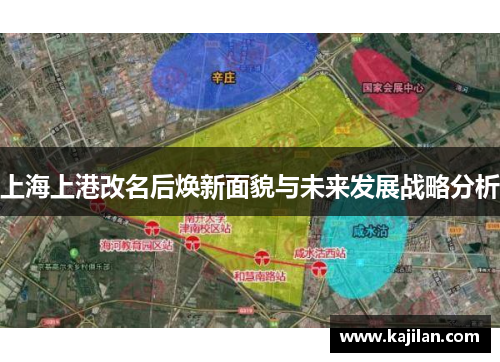 上海上港改名后焕新面貌与未来发展战略分析