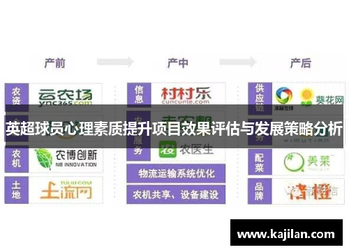 英超球员心理素质提升项目效果评估与发展策略分析