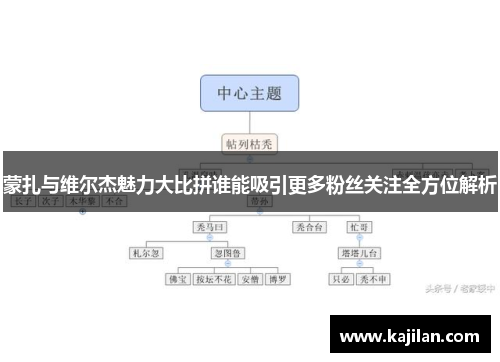 蒙扎与维尔杰魅力大比拼谁能吸引更多粉丝关注全方位解析
